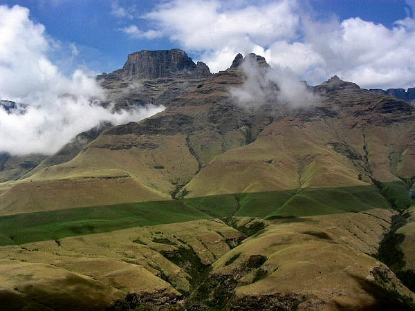 champaigne mts